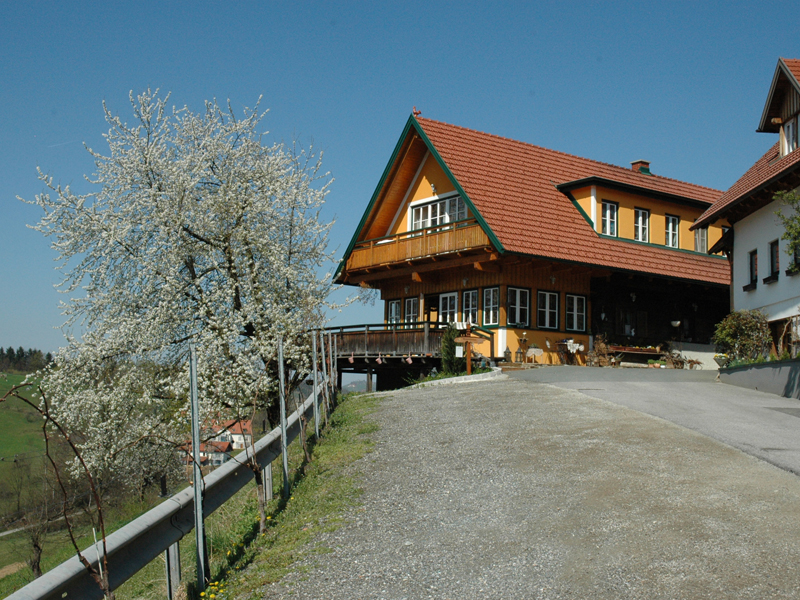 BUSCHENSCHANK | Weingut Schatz